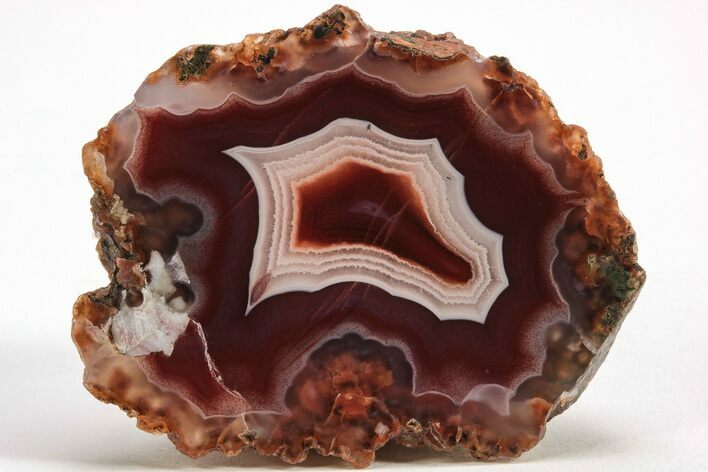 Polished Candy Agate - Malawi #207368